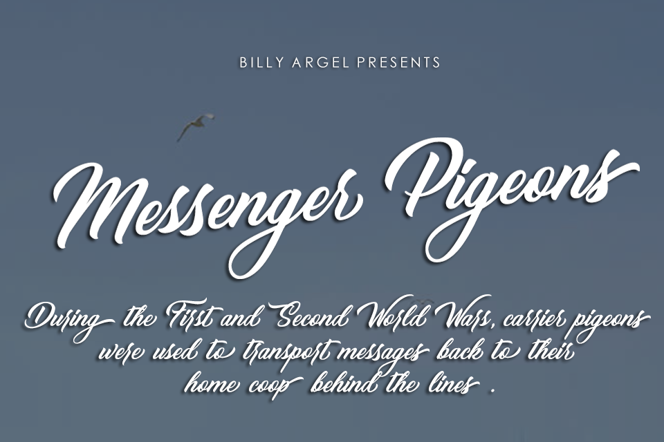 Messenger Pigeons
