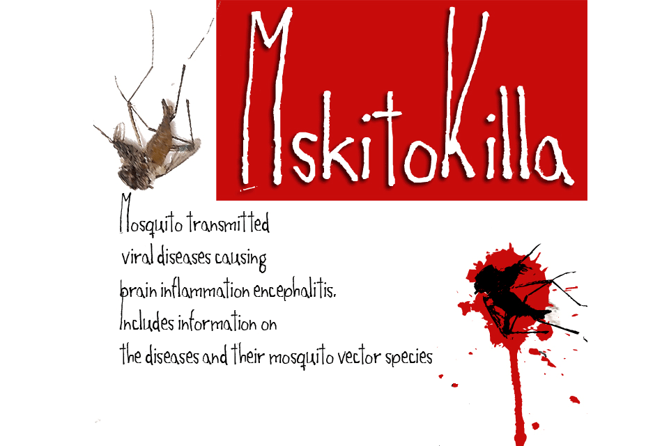Mskitokilla